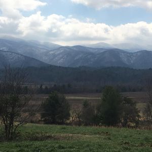 Meet your Posher, Lea